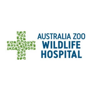 Australia-Zoo-Wildlife-Hospital